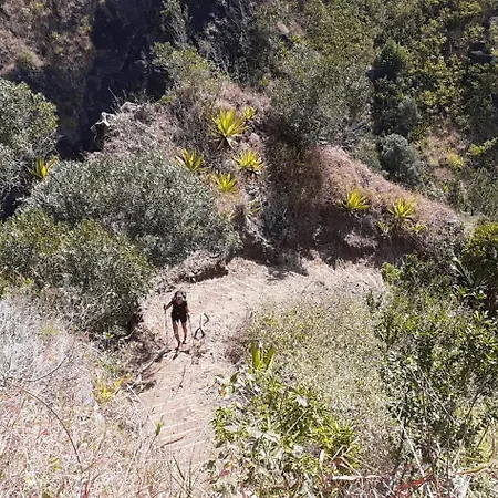 Konukevi Dependance Lège-Cap-Ferret